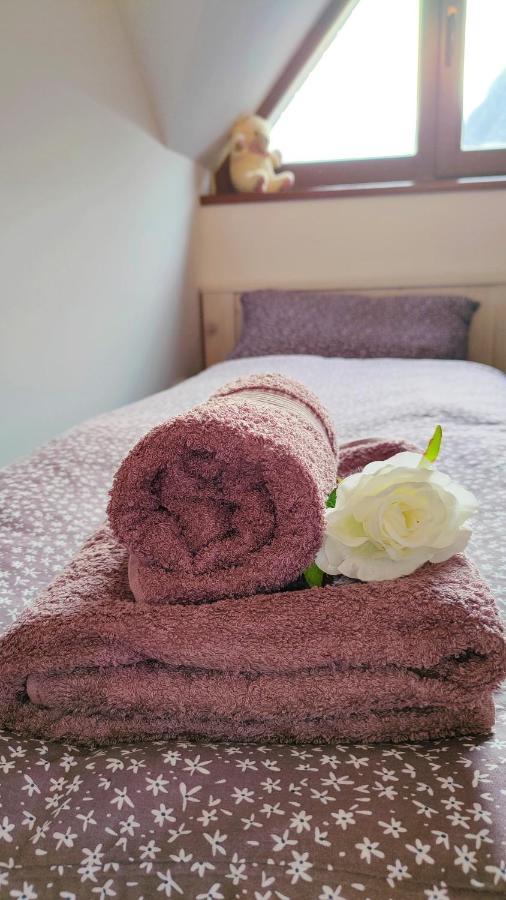 Apartmaji Dora Mojstrana Zewnętrze zdjęcie